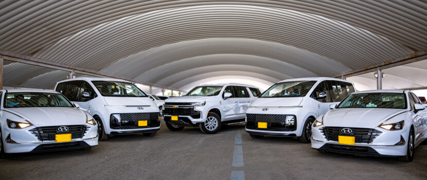 Luxury Limousine