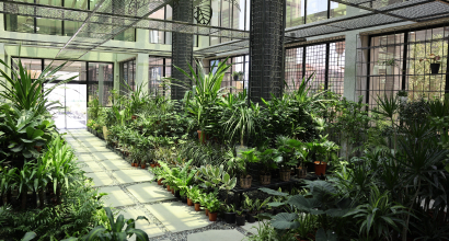 Nursery Operations