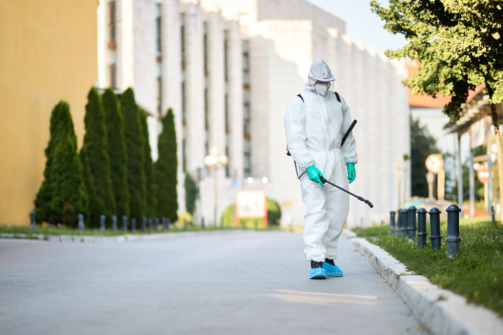 Termite Control
