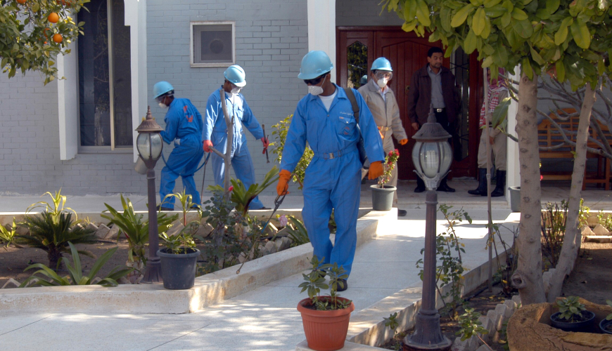 Pest Control Service 1